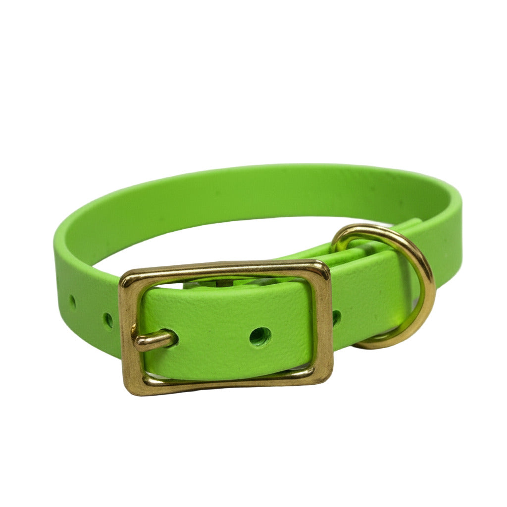 Lime Buckle Collar