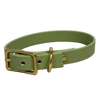 Buckle Collars