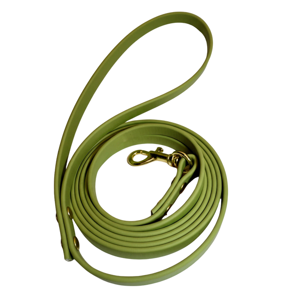 Matcha Waterproof Traditional Leash