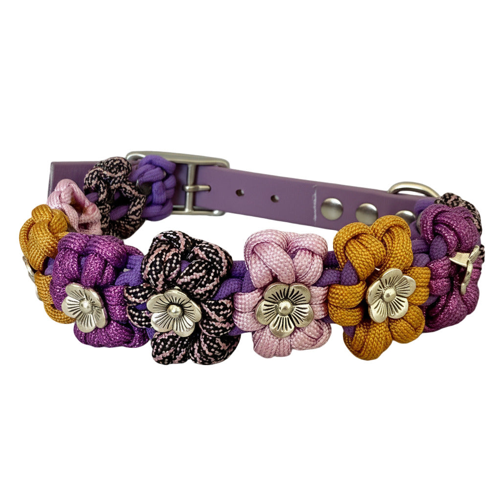 Decorative dog collar with braided floral patterns on gray background