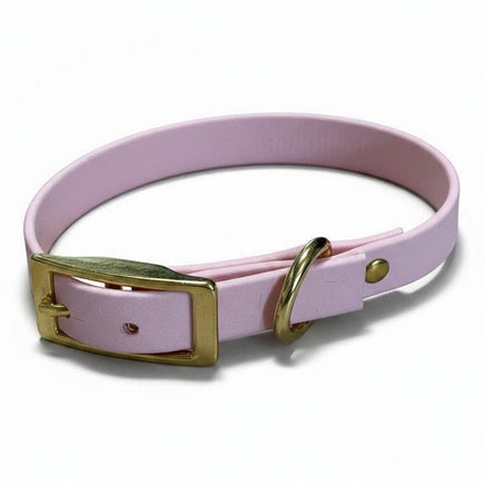Pink dog collar with gold buckle on a white background