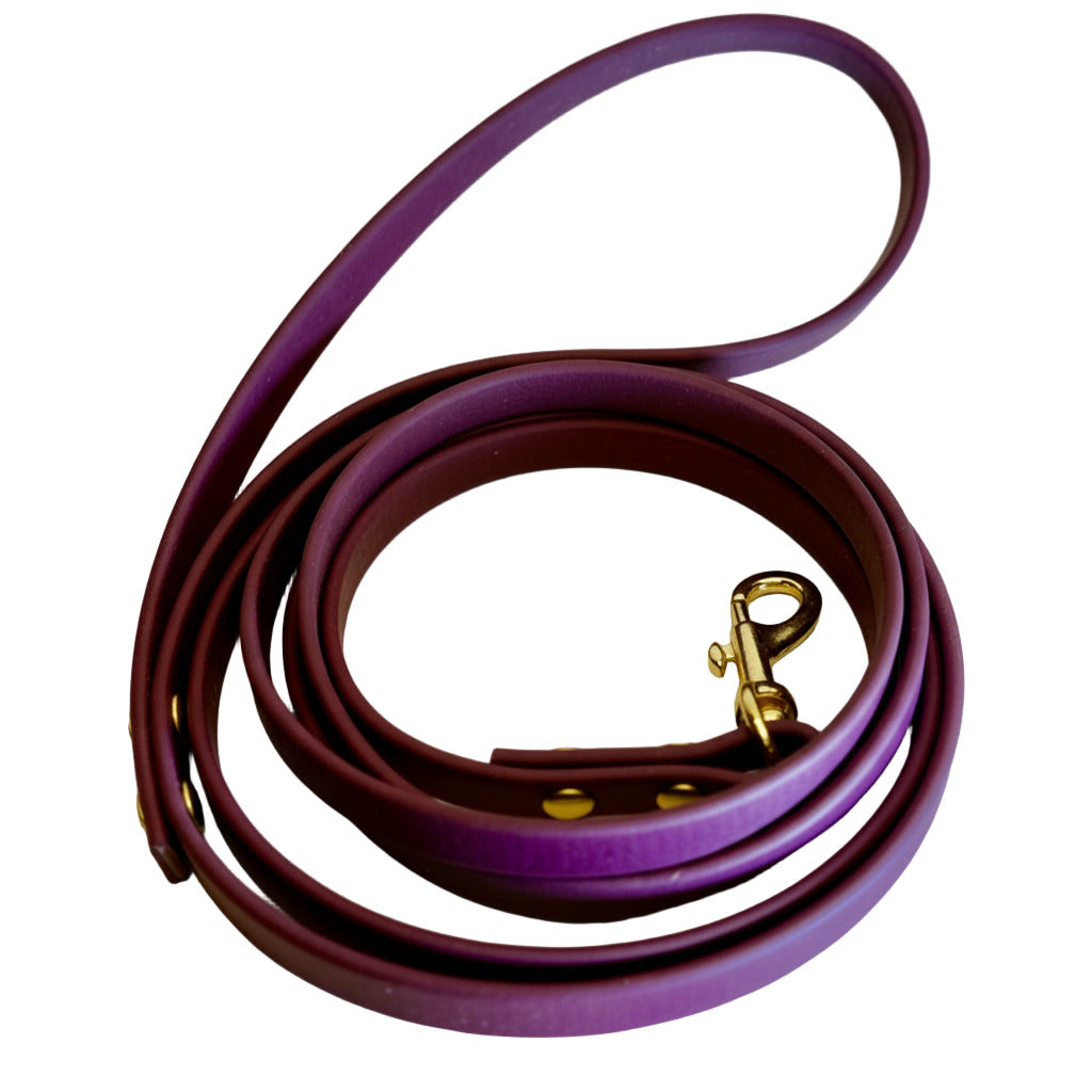 Traditional Leashes