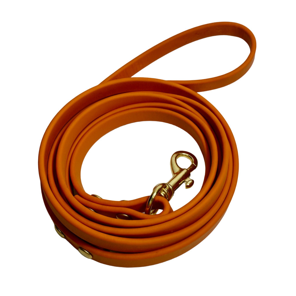 Traditional Leashes