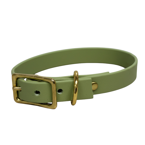 Matcha Waterproof Buckle Collar