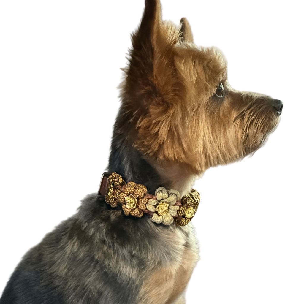 FLOWER COLLARS