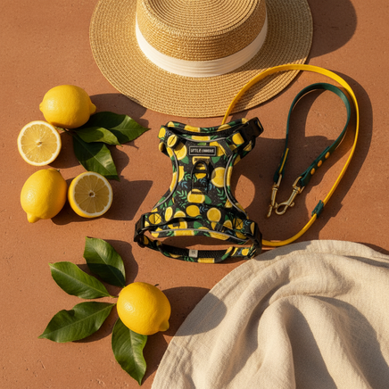 Amalfi Prop Styling