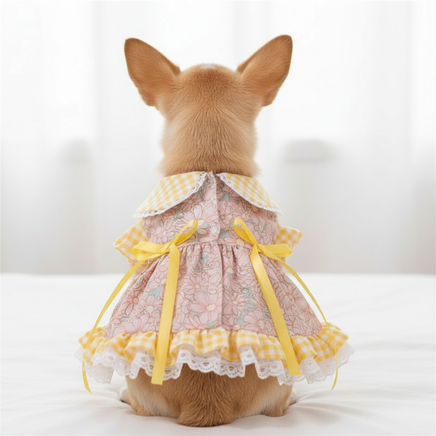 Blonde Chihuahua rear view in yellow gingham dress