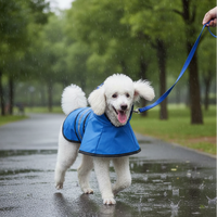 Blue slicker park