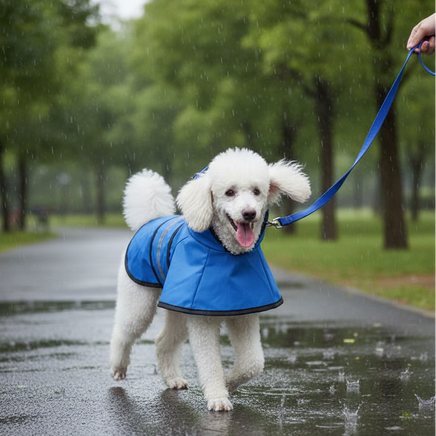 Blue slicker park