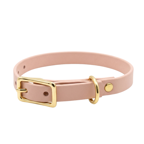 Bone Waterproof buckle Collar