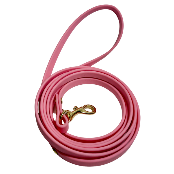 Bubble Gum Pink Leash
