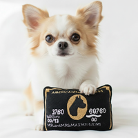 Chihuahua with toy - logo removed