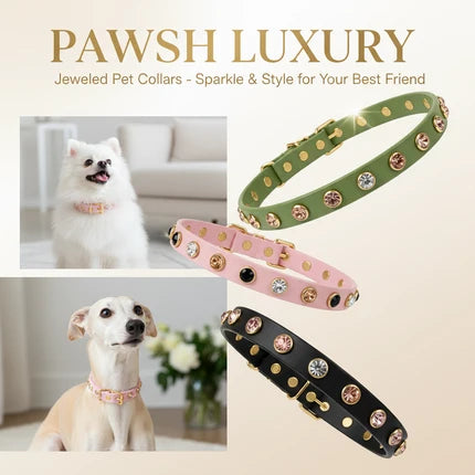 CrHound Jewels Rhinestone Collar - Bling Pet Collar | The Uptown Hound
