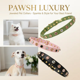 CrHound Jewels Rhinestone Collar - Bling Pet Collar | The Uptown Hound
