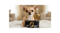 Cute chihuahua with Americanine Express toy