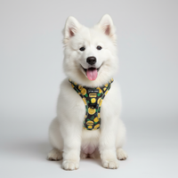 Cute white dog wearing Amalfi lemon harness