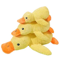 Yellow Plush Duck Squeaky Toy