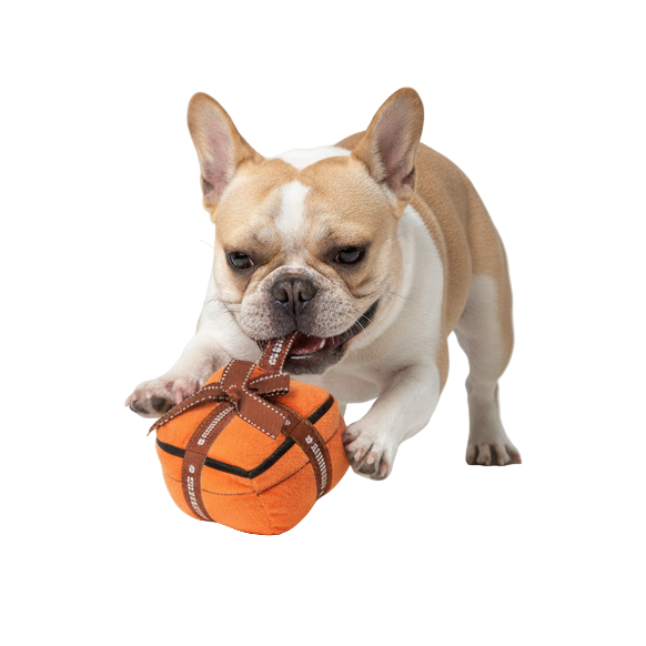 French Bulldog with Luxury Plush Toy