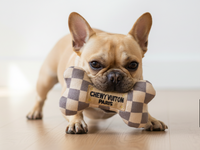 French Bulldog with Uptown Hound Toy and Logo