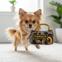 Long-haired chihuahua playing with Furrsace purse toy