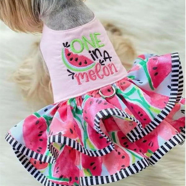 One In A Melon Harness Dress