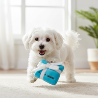 Maltese playing with Sniffany & Co toy