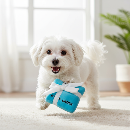 Maltese playing with Sniffany & Co toy
