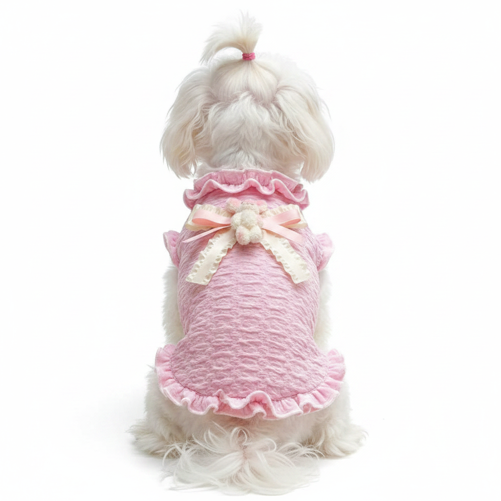 Maltese rear view in bunny sweater