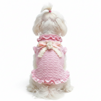 Maltese rear view in bunny sweater