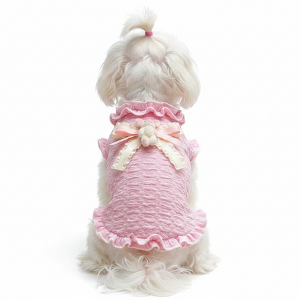 Maltese rear view in bunny sweater