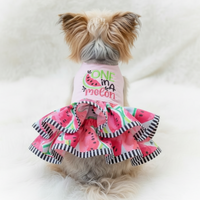 Morkie in One In A Melon dress square