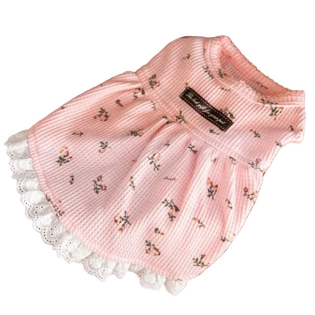 Pretty Waffle Knit Dress