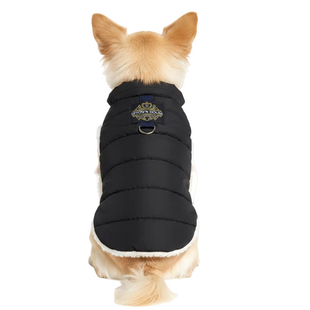 Rear view blonde chihuahua in Uptown Hound puffer vest