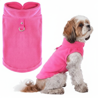 Shih Tzu with Vest in Background