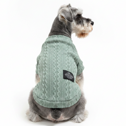 Silver Schnauzer back view in sage green cable-knit tee