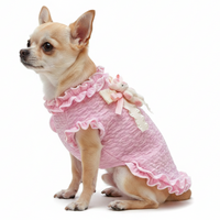 Teacup Chihuahua side view in bunny sweater