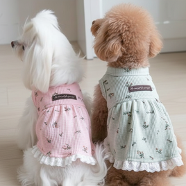 Pretty Waffle Knit Dress