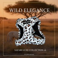 White Leopard Vest Harness Ad