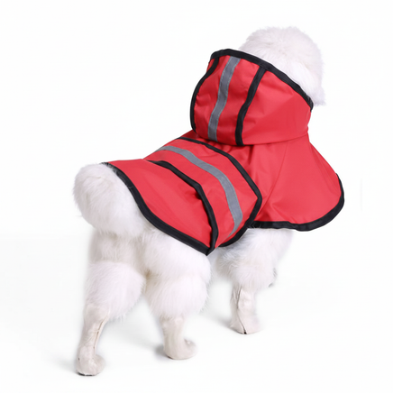 White poodle in red rain slicker