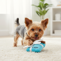 Yorkie playing with Sniffany & Co toy
