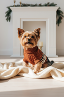 Yorkshire terrier wearing Fair Isle sweater
